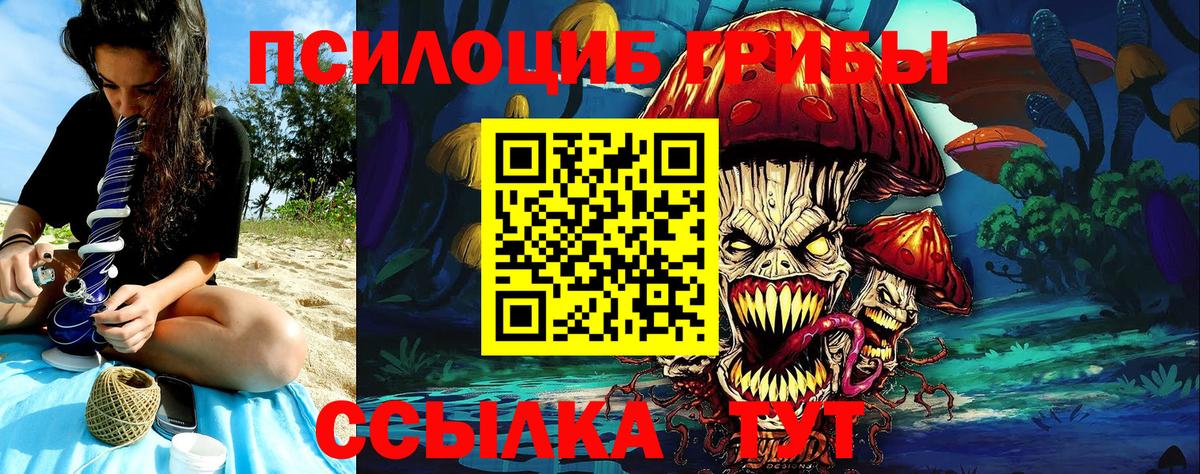 Элиста  Галлюциногенные грибы Magic Shrooms  Вход с VPN 