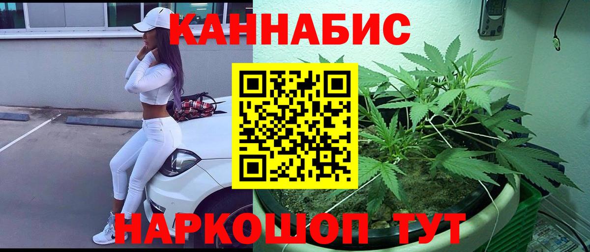 Каннабис SATIVA & INDICA Элиста